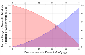 Carbohydrate/Fat utilization curves