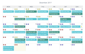 Fitness Planner Calendar